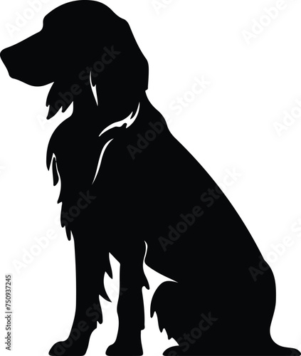 Irish Setter   silhouette