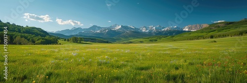 Expansive Green Meadow with Distant Mountain Range