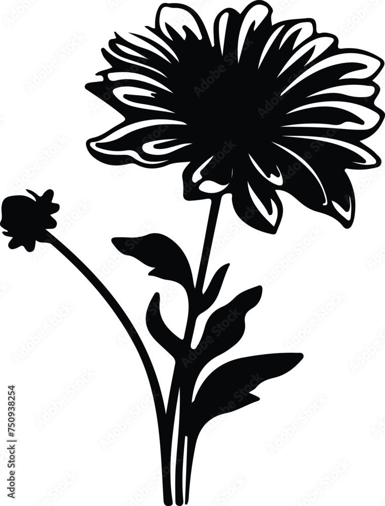 aster  silhouette