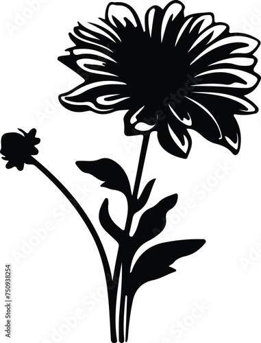 aster silhouette