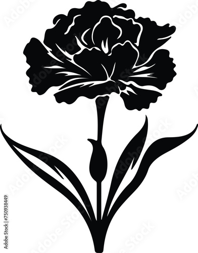 carnation  silhouette