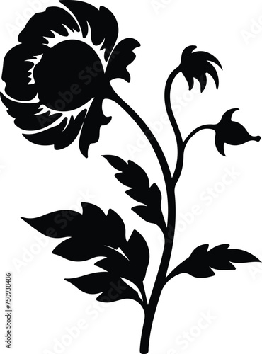 carrion flower  silhouette photo