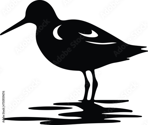 sandpiper  silhouette