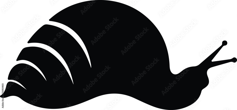 Fototapeta premium slug silhouette