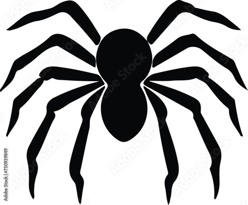tarantula  silhouette
