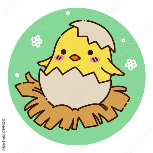 Petit poussin dans sa coque
