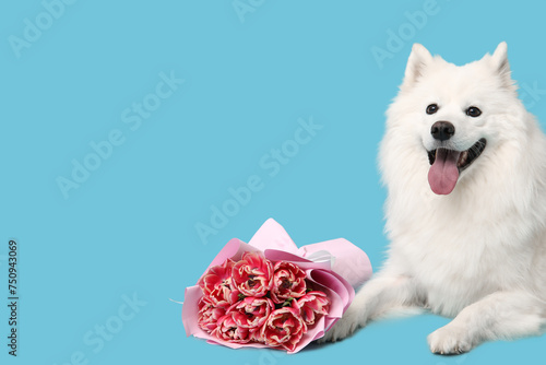 Fluffy dog with beautiful tulip bouquet on blue background © Pixel-Shot