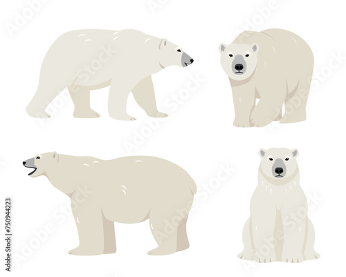 Set of polar bears in different poses. Wild polar Bear animals of the Arctic and the Arctic Circle isolated on white background. Polar bear standing, sitting and walking. Vector icon illustration.