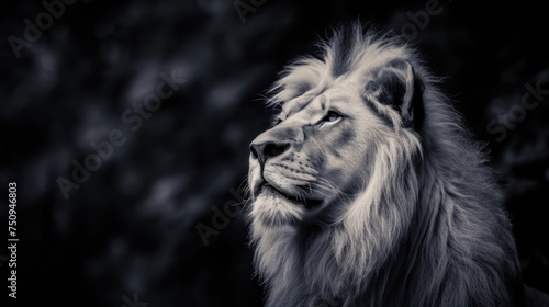 a black and white photo of a lion s face with a blurry background of trees and bushes in the background.