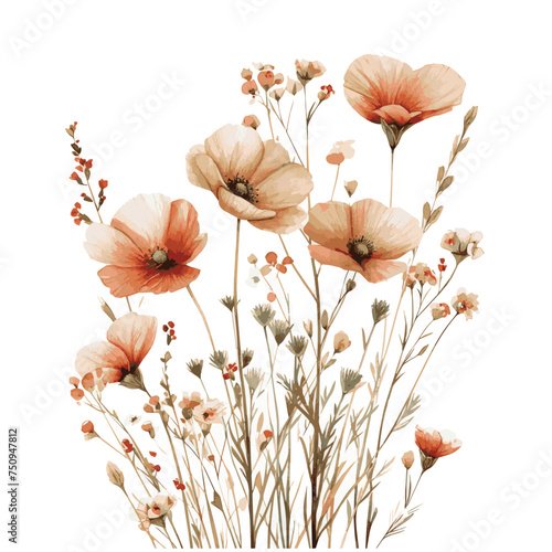 watercolour flowers isolated on white background. 