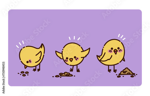Les 3 poussins mangent des graines photo