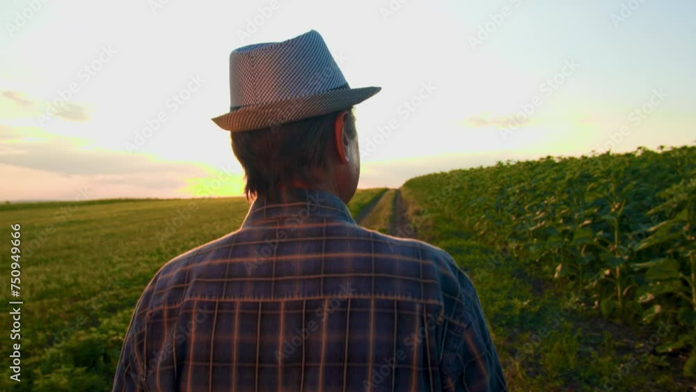 Fields of Reflection Against the canvas of an agricultural sunset, a senior farmer, weathered by time and labor, strolls through the crop-filled landscape. Fields of Reflection Against the canvas of an agricultural sunset, a senior farmer, weathered by time and labor, strolls through the crop-filled landscape.