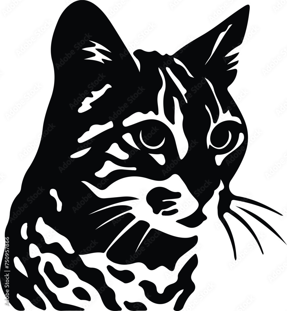 Obraz premium Rusty-spotted Cat portrait