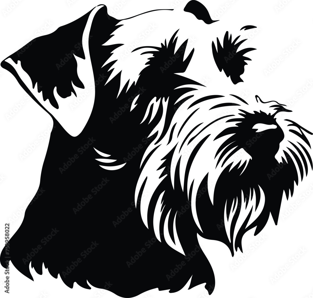 Obraz premium Sealyham Terrier portrait