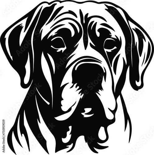 Dogue de Bordeaux  portrait