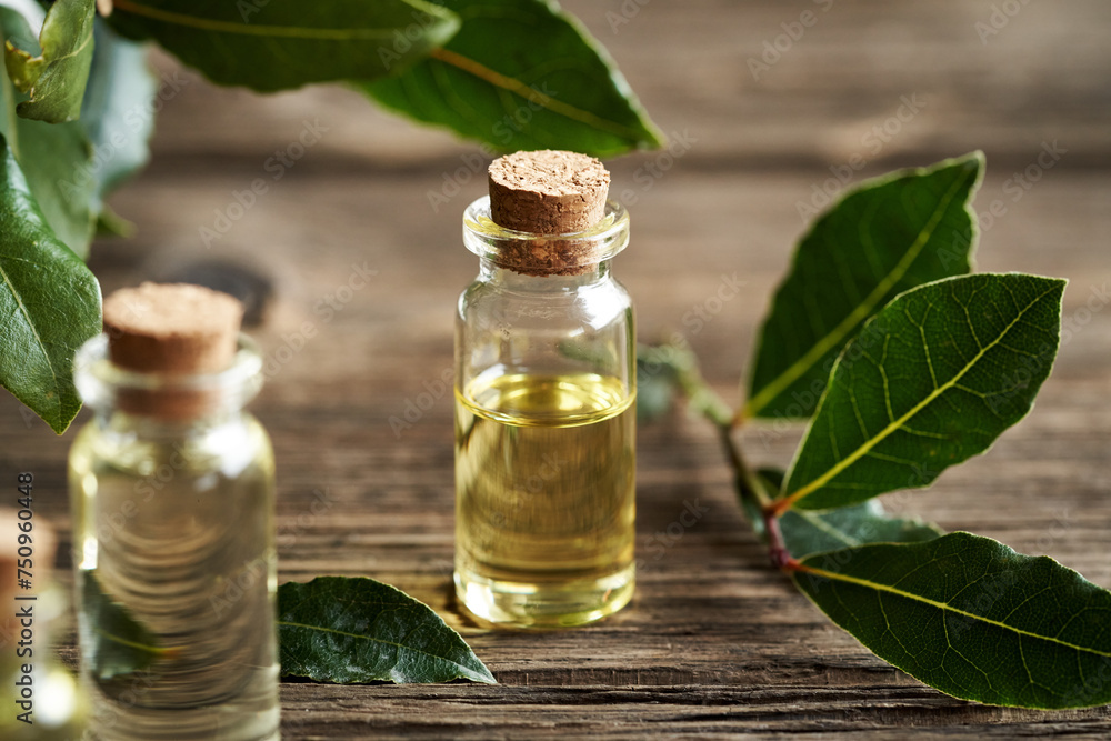 A bottle of aromatherapy essential oil with fresh bay leaf A bottle of aromatherapy essential oil with fresh bay leaf