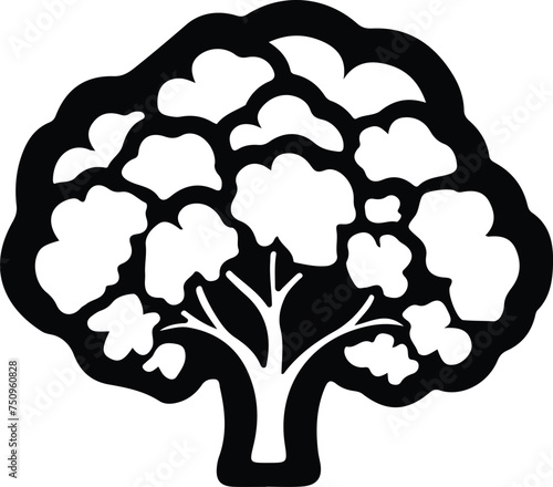 cauliflower  silhouette
