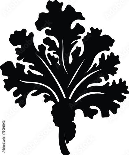kale  silhouette