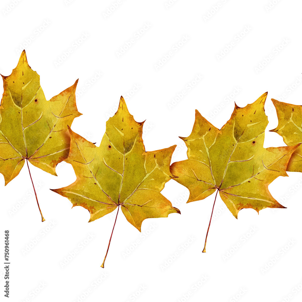 Maple Leaf. Seamless pattern of yellow fallen leaves. Deciduous trees. Watercolor illustration for background design, packaging, textiles Maple Leaf. Seamless pattern of yellow fallen leaves. Deciduous trees. Watercolor illustration for background design, packaging, textiles