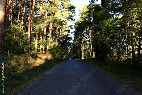 Moncayo Natural Park is 11,000 hectares located between the province of Zaragoza and the province of Soria in Spain photo