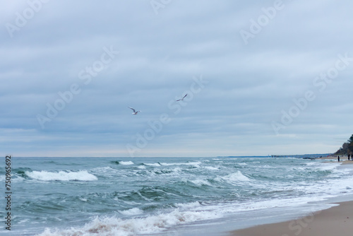 Blue sea in a storm at sunset  sea foam and waves. Birds fly over the water. Waves crash on the shore. Sandy beach 