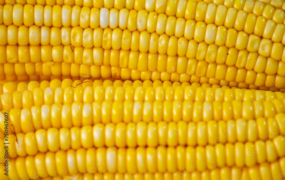 Green corn in selective focus and fine details Green corn in selective focus and fine details