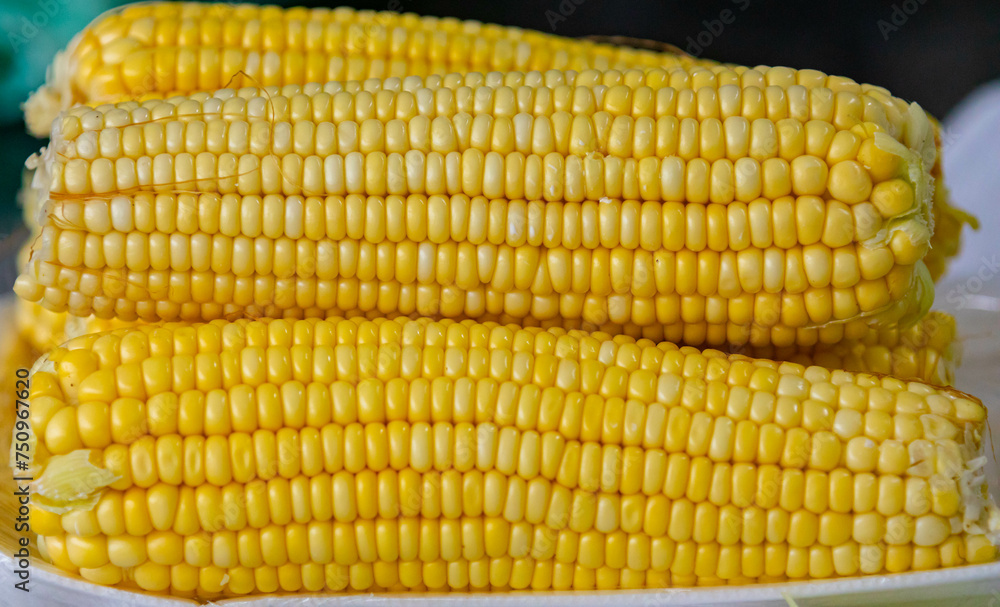 Green corn in selective focus and fine details Green corn in selective focus and fine details