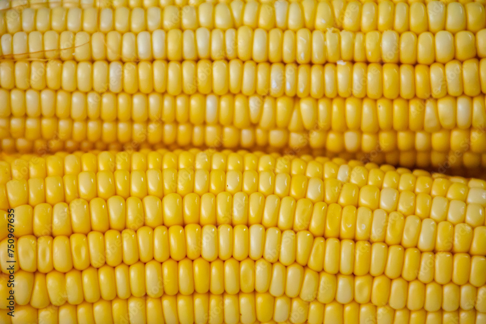 Green corn in selective focus and fine details Green corn in selective focus and fine details