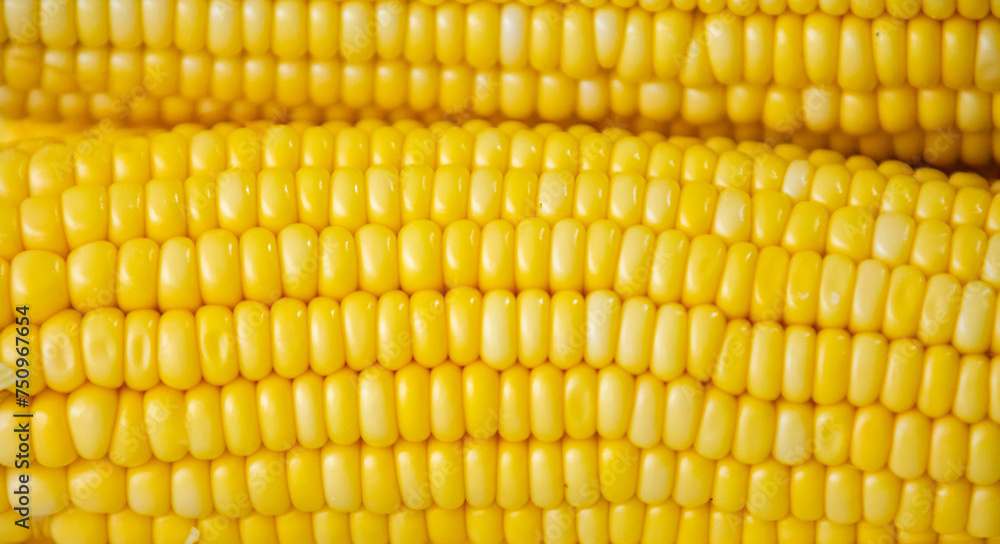 Green corn in selective focus and fine details Green corn in selective focus and fine details