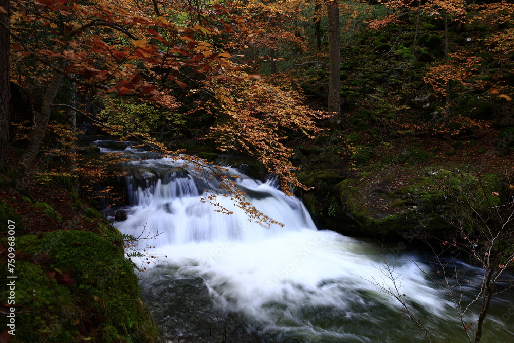 The Natural Park of Sierra de Cebollera is one of the two natural areas of Riojas ,  located in the municipality of Villoslada de Cameros