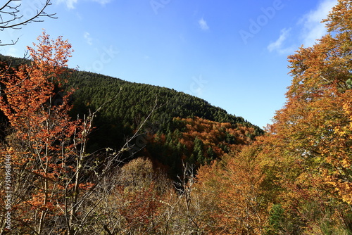 The Natural Park of Sierra de Cebollera is one of the two natural areas of Riojas ,  located in the municipality of Villoslada de Cameros photo