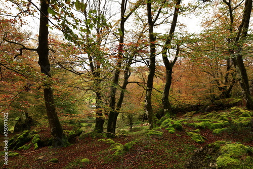 The Natural Park of Urbasa-Andía is a protected natural area of the Autonomous Community of Navarre, Spain