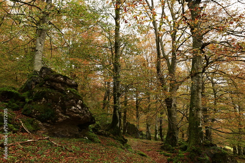 The Natural Park of Urbasa-And  a is a protected natural area of the Autonomous Community of Navarre  Spain