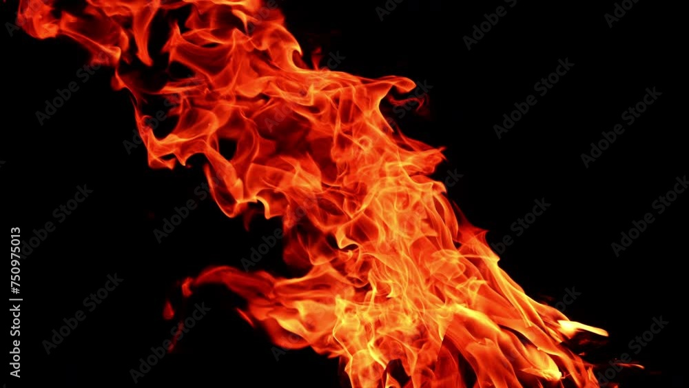 Pieces of wood burning in the big bonfire. Long flame stretches into the air leaning to the left. Darkness at backdrop. Pieces of wood burning in the big bonfire. Long flame stretches into the air leaning to the left. Darkness at backdrop.