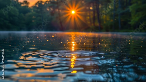 Dense Forest Surrounding a Lake