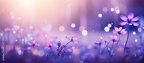A field of purple flowers glistens in the rain, their petals collecting droplets of water. The vintage violet background contrasts with the bright, blurred bokeh created by the raindrops.