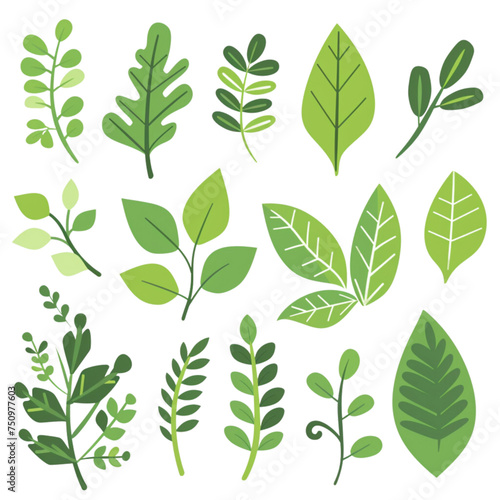 green leaves pattern