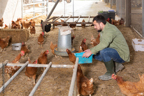 Skilled young bearded farmer working in henhouse, feeding chickens with grain photo