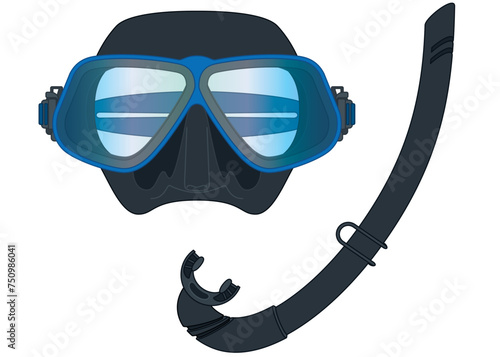 freediving, mask and j-type snorkel isolated on a white background