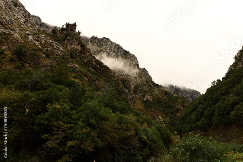 The Picos de Europa National Park is a National Park in the Picos de Europa mountain range  in northern Spain