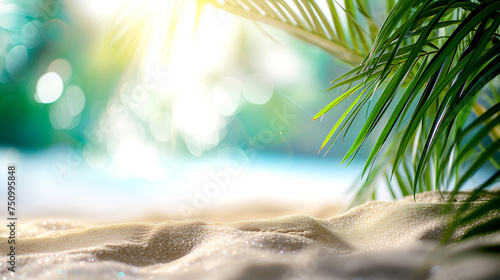 Palm Tropical Paradise py the Ocean