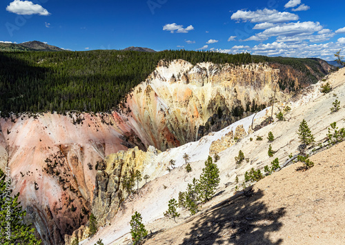Grand Canyon of the Yellowstone River, Yellowstone National Park summer landscape Wyoming, USA. 