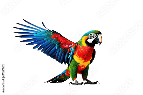 Colorful parrot in full body view, centered, isolated on a stark white background, feathers vibrant with hues of blue, red, yellow and green, tail feathers elegantly spread, eyes lively and curious