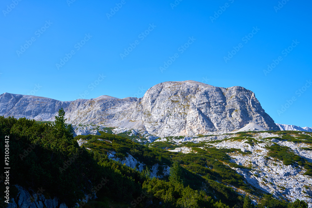 Taubenkogel Mountain in the Austrian Alps. Upper Austria.