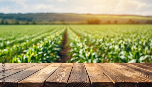 wooden table with blurred farm background on harvesting season flawless