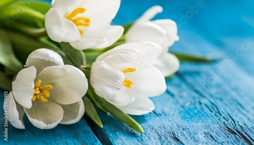 spring flowers on blue background