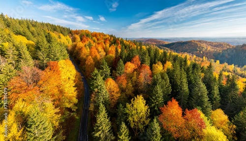 aerial drone view over beautiful autumn forest landscape colourful trees in the wood