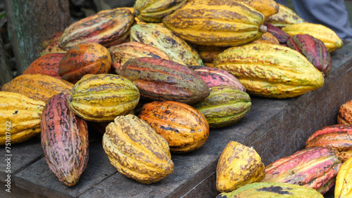 Cacao beans in Costa Rica