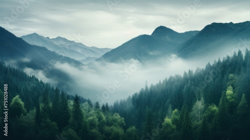 a foggy mountain range with trees and mountains