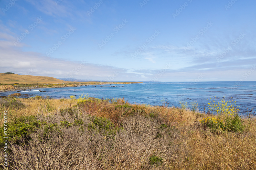 Coast of California, USA